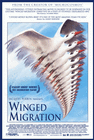 Winged Migration poster