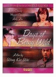 Days of Being Wild poster