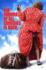 Big Momma's House 2 poster