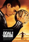 Goal poster