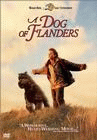 A Dog of Flanders poster