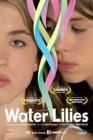 Water Lilies poster