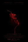 Anamorph poster