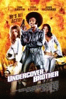 Undercover Brother poster