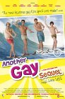 Another Gay Sequel poster