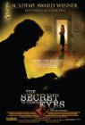 Secret in Their Eyes poster