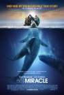 Big Miracle poster