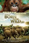 Born to Be Wild 3D poster