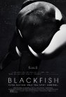 Blackfish poster