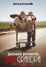 Bad Grandpa poster