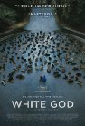 White God poster