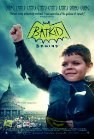 Batkid Begins poster