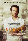 Burnt poster