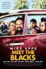 Meet the Blacks poster