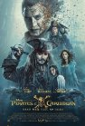 Pirates...Caribbean V poster