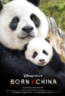 Born in China poster