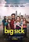 The Big Sick poster