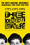 Identical Strangers poster