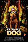 Firehouse Dog poster